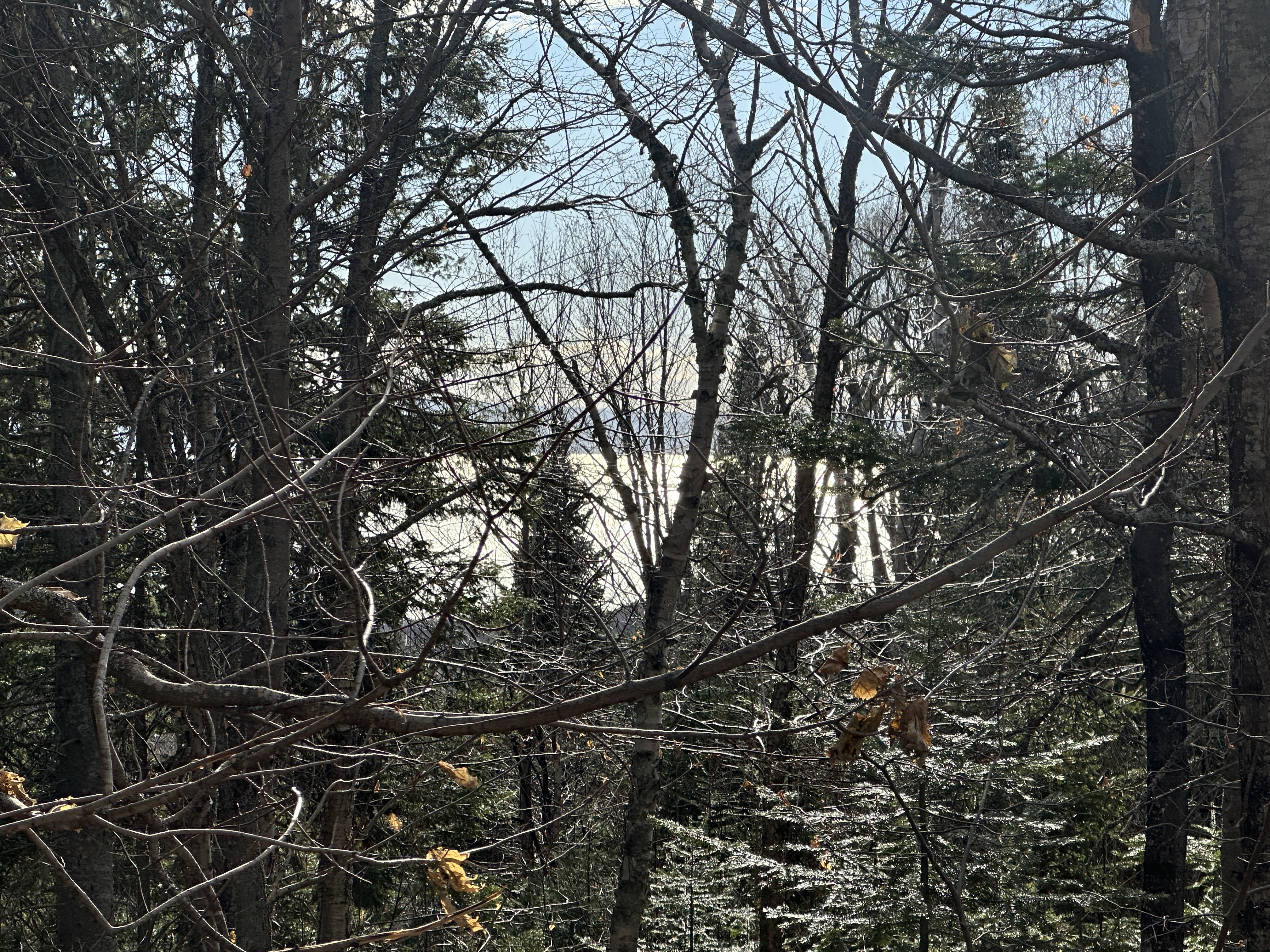 Vue du terrain 31